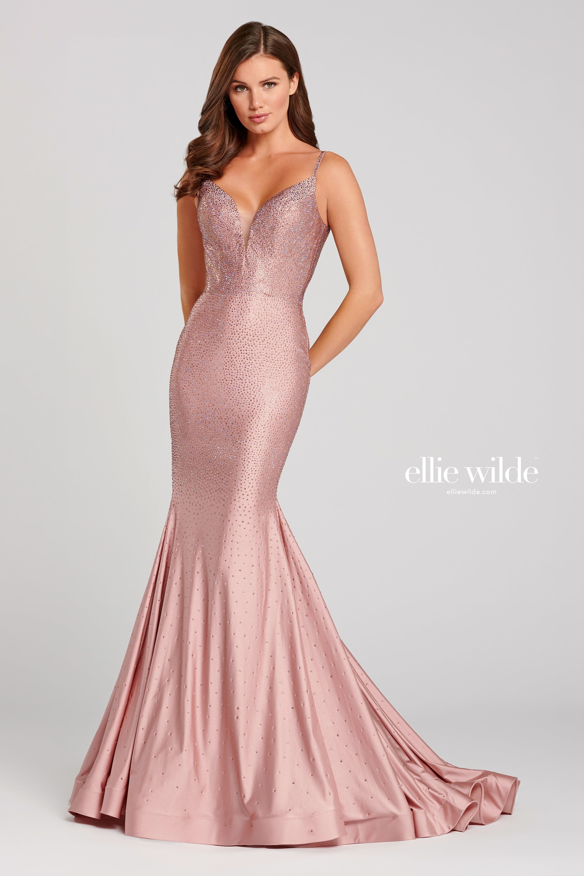 Ellie Wilde EW120012 Dress